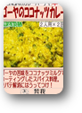 画像の説明 画像の説明