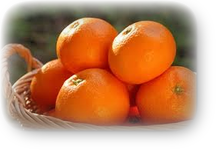 柑橘類の皮が・・・